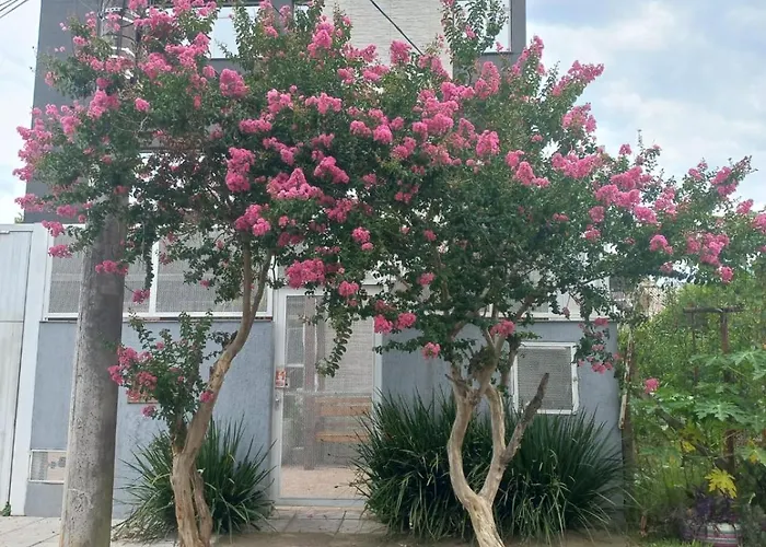 Palace Porto Alegre